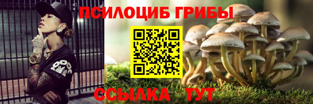Псилоцибиновые грибы Cubensis Краснотурьинск